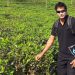 এনামুল হক মনির পথে সাজেদুল