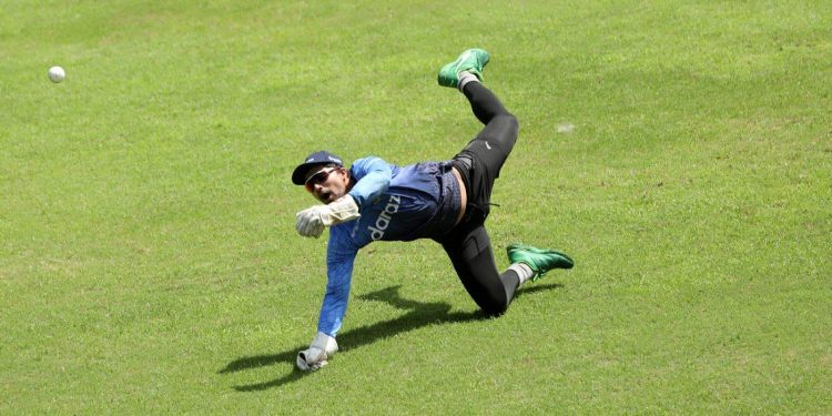 নিউজিল্যান্ডের আদলে উইকেট হচ্ছে বাংলাদেশে