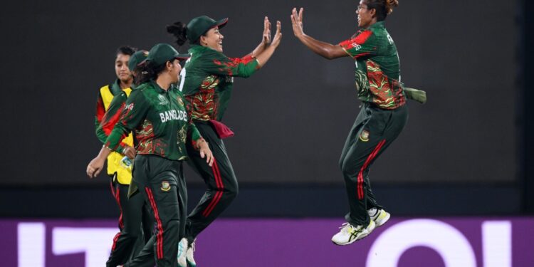 লড়াই করে হারল বাংলাদেশ